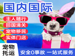 鸡西航空邮寄国际宠物托运 【国